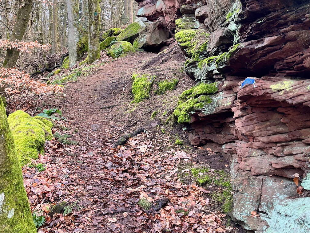 24-02-26 14-07-21 8711